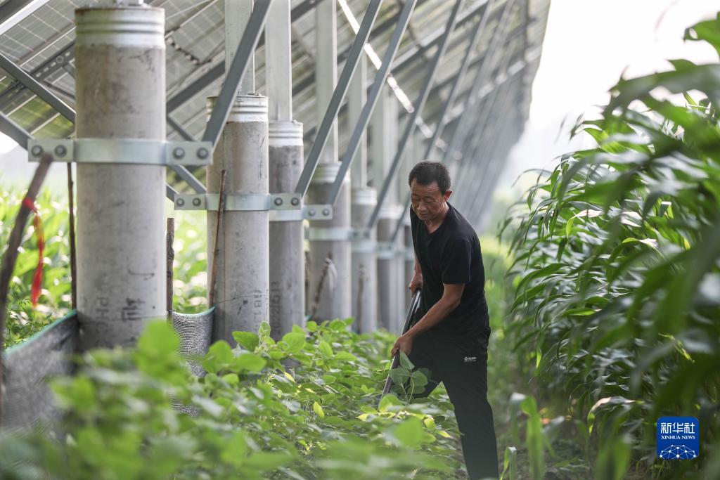 巴黎人网站不给提